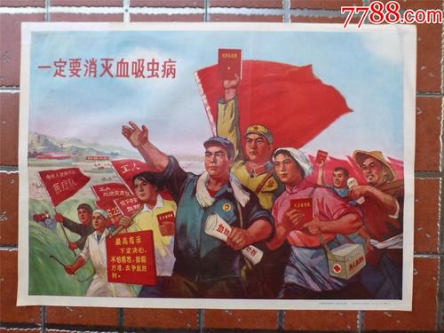 学位证书编号是几位